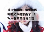 瓜田大丰收，消失的爆料贴又浮出水面了，17c一起草带你吃个爽！