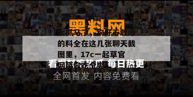 太抓马了，狗仔不敢爆的料全在这几张聊天截图里，17c一起草官网带你吃个爽！  第1张